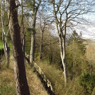Le parc sur les hauteurs