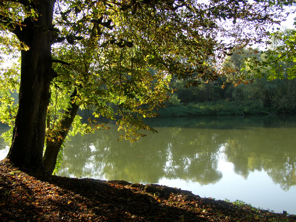 Bords de Seine