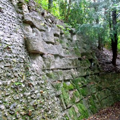 Mur végétal