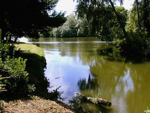 Rives de la Seine