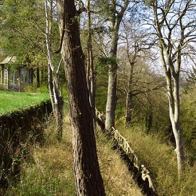 Le parc sur les hauteurs